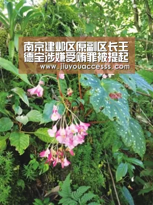 南京建邺区原副区长王德宝涉嫌受贿罪被提起公诉_九游官网唯一入口 (图1) 九游体育