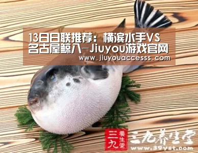 13日日联推荐:横滨水手VS名古屋鲸八-Jiuyou游戏官网入口(图1) 九游官网唯一入口